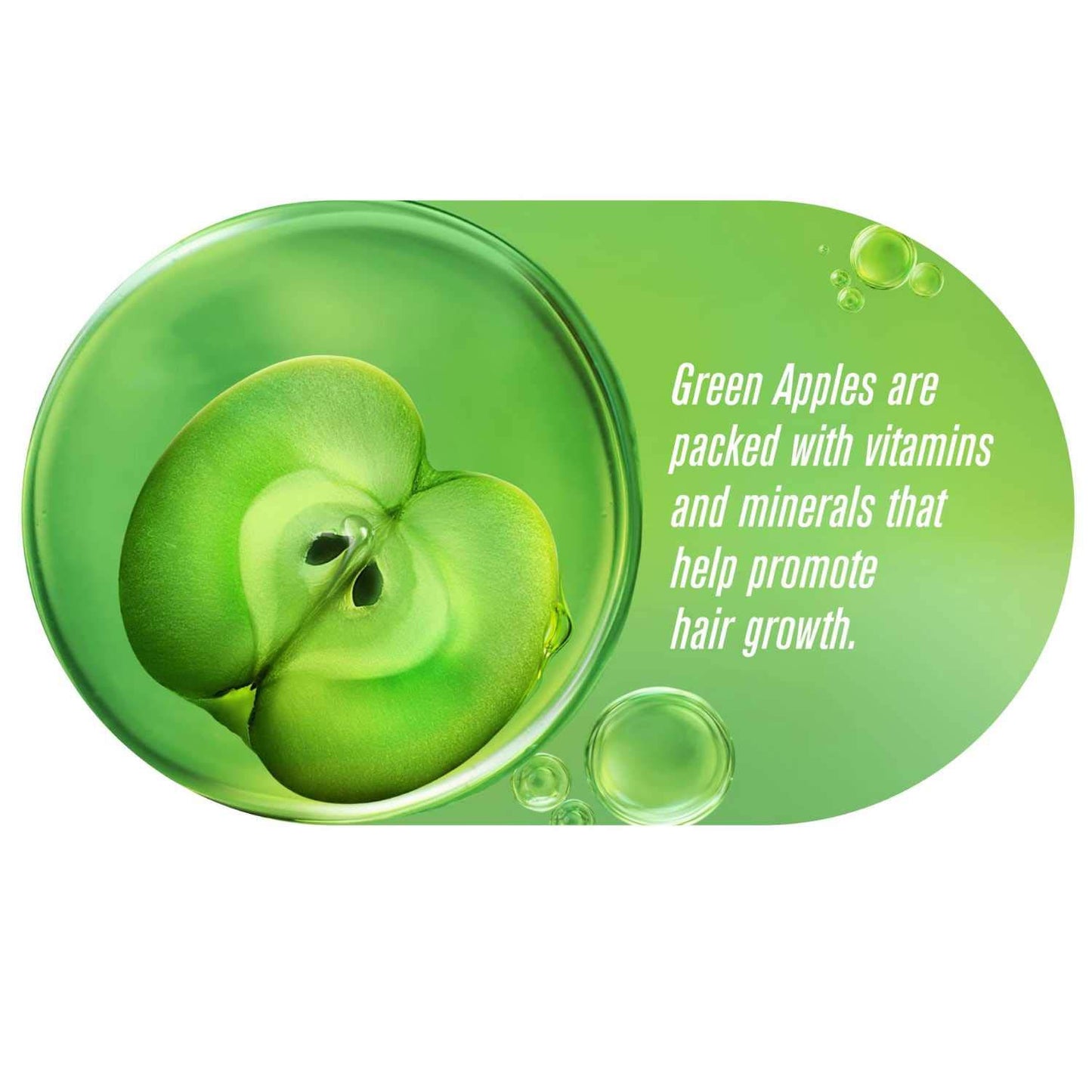 Hair & Care Damage Repair Non-Sticky Hair Oil with Aloe Vera, Olive Oil & Green Tea500 ml