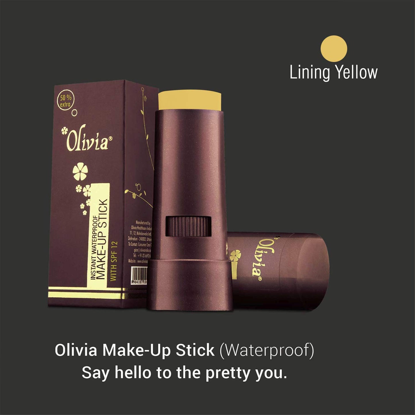 Olivia Waterproof Natural Honey Makeup Cream Concealer Pan Cake, Medium Coverage, For All Skin Types (25G, Shade No.24)