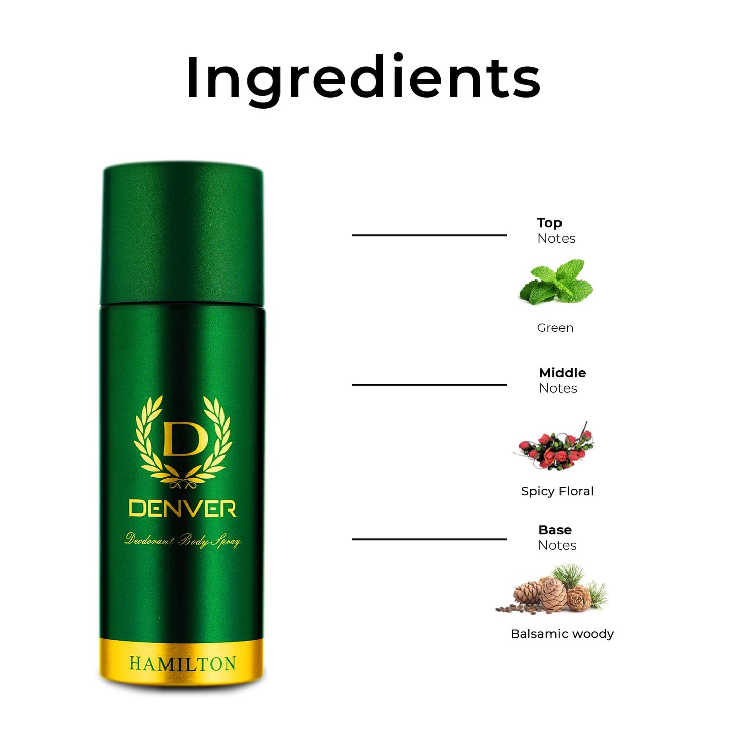 DENVER Hamilton Deodorant Body Spray - (165ML) | Long Lasting Deo for Men