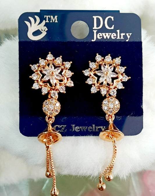 AD EARINGS